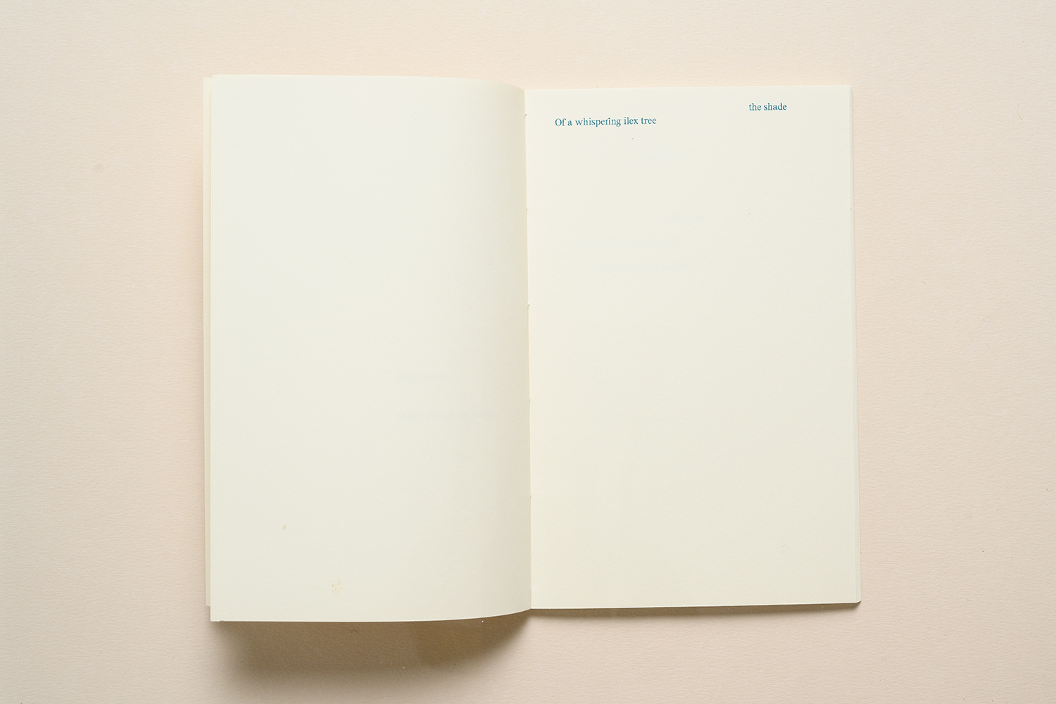 Elfi Seidel, Alphabet Forest, 2022