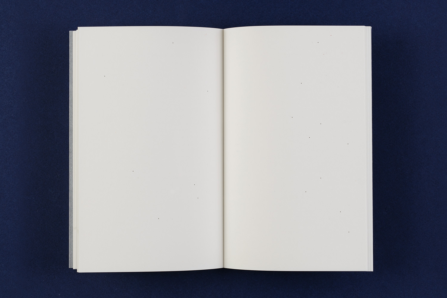 Elfi Seidel, Die Verwandlung (The Metamorphosis), 2015