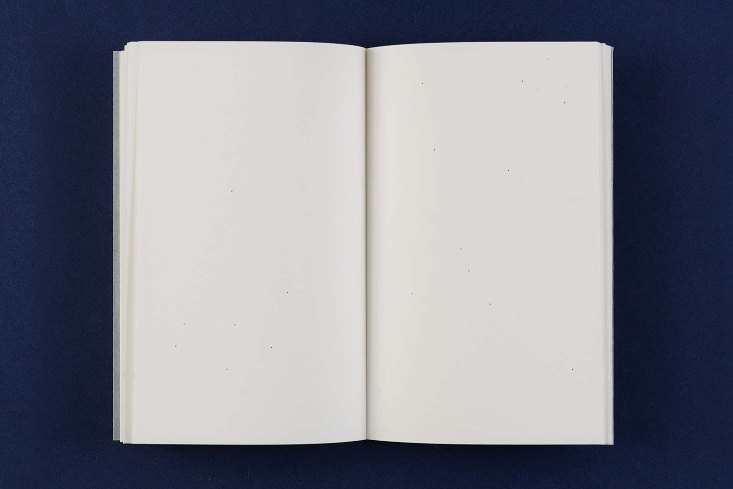 Elfi Seidel, Die Verwandlung (The Metamorphosis), 2015