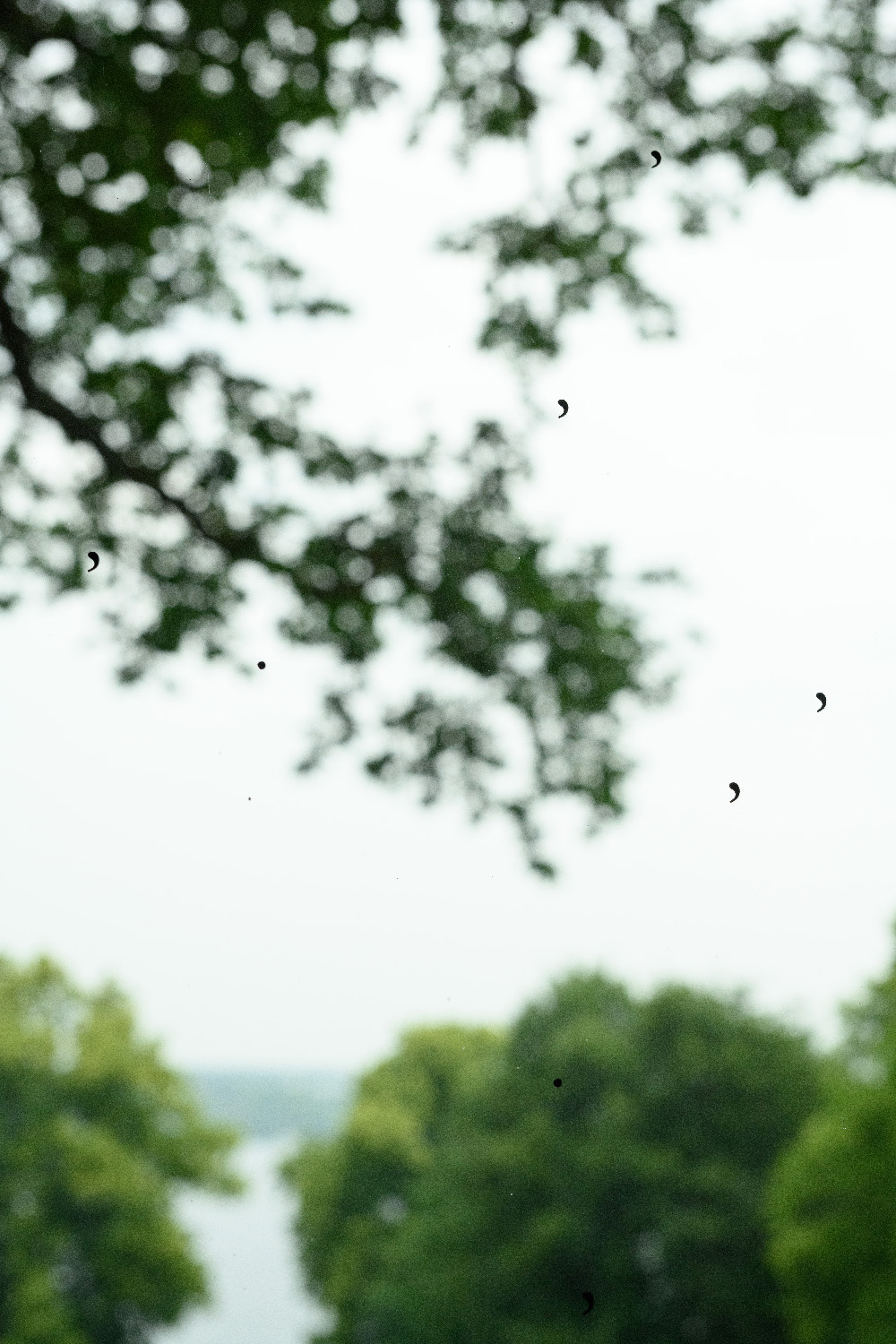Elfi Seidel, Gesicht und Maske, 2023