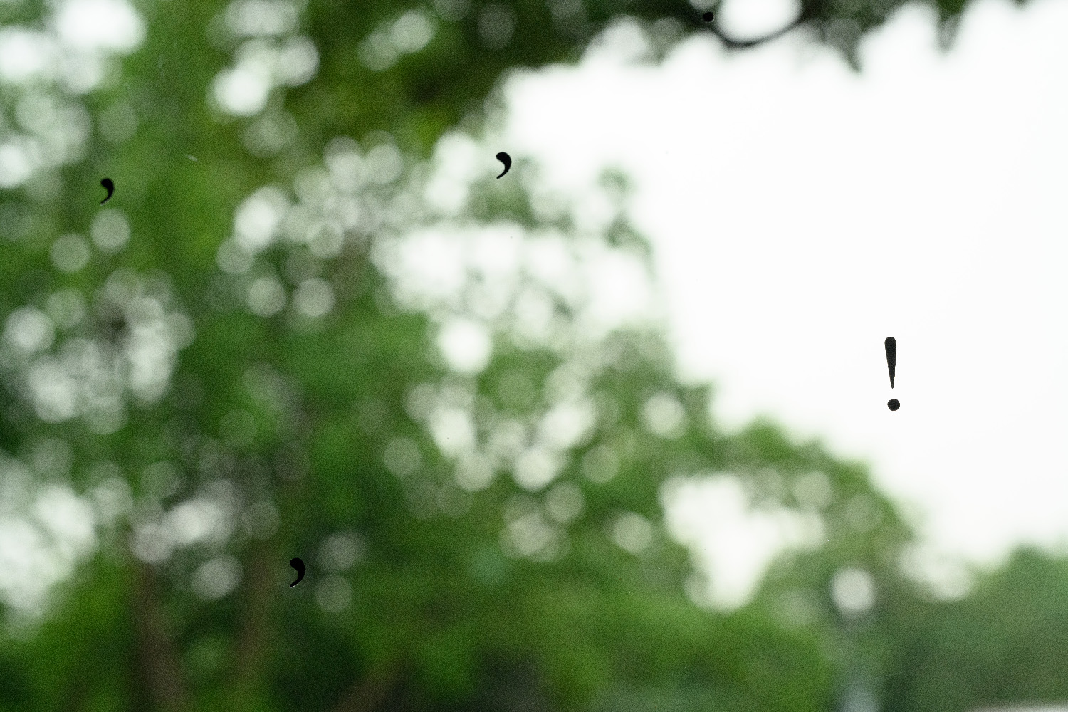 Elfi Seidel, Gesicht und Maske, 2023