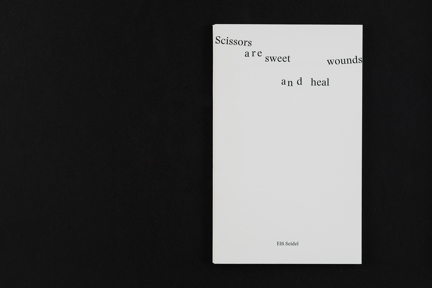Elfi Seidel, Scissors are sweet and heal wounds, 2017