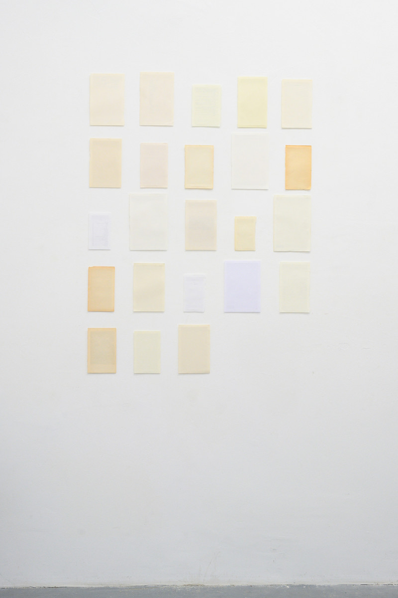 Elfi Seidel, Walden; or, Life in the Woods, 2019