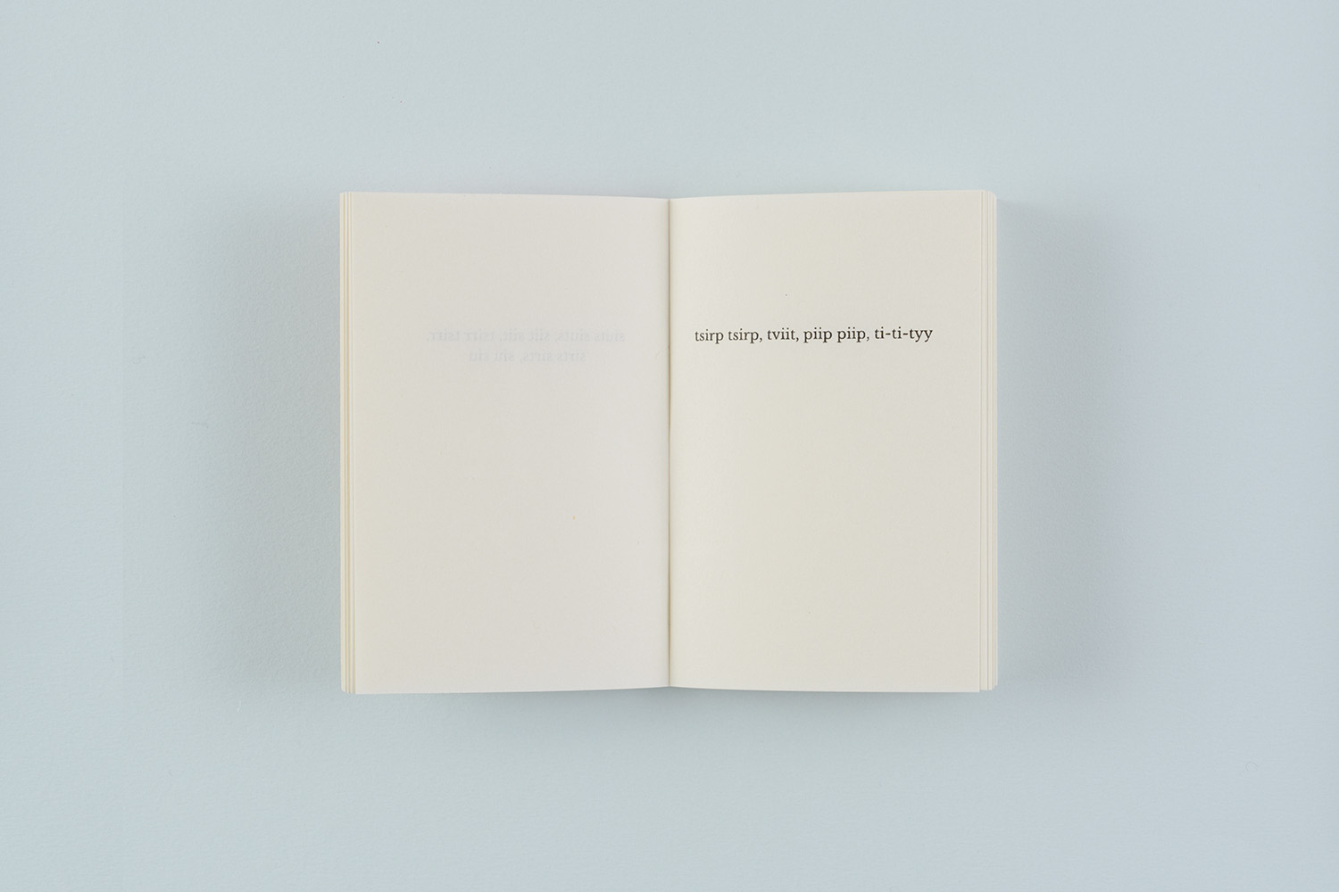 Elfi Seidel, What birds say, 2018