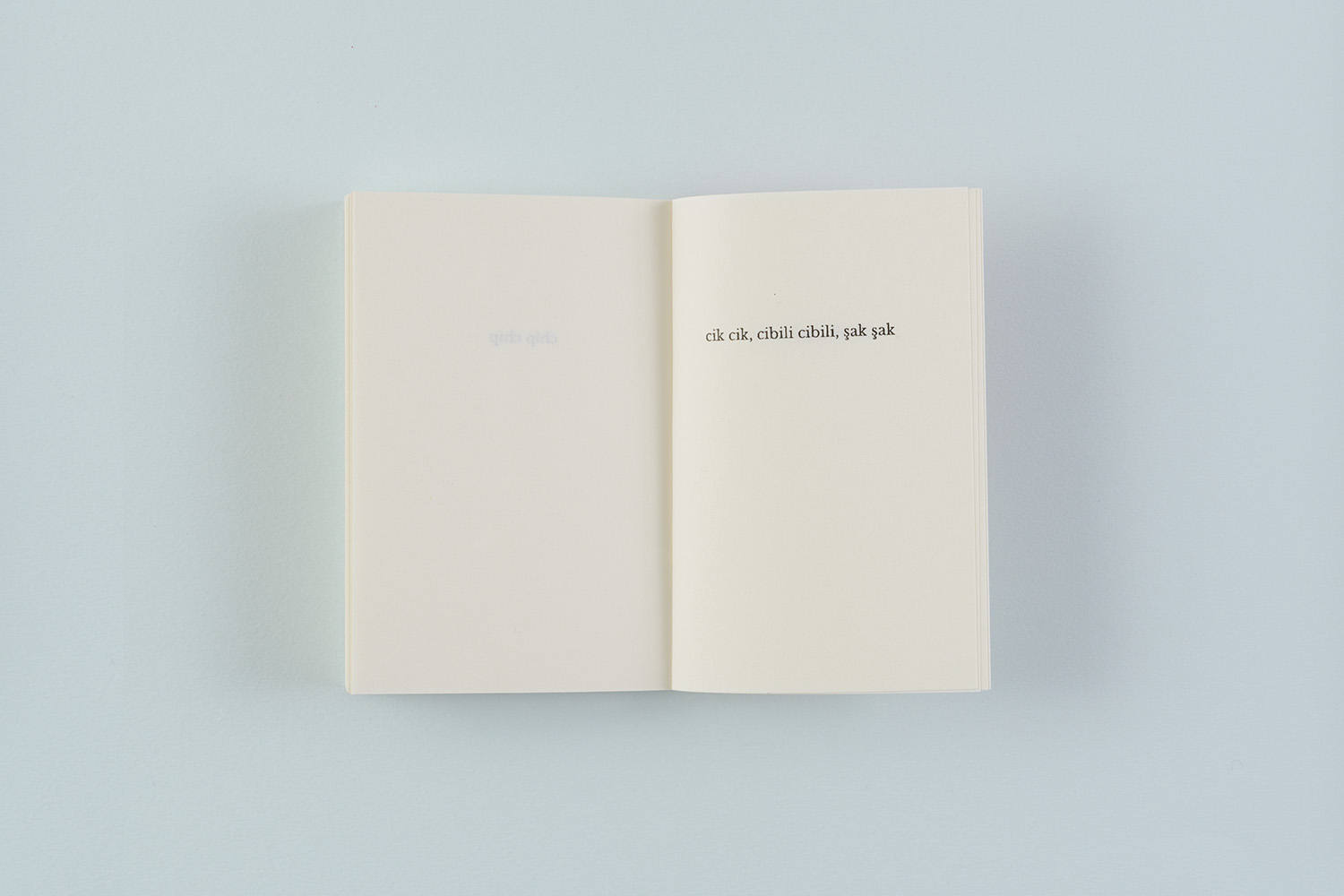 Elfi Seidel, What birds say, 2018