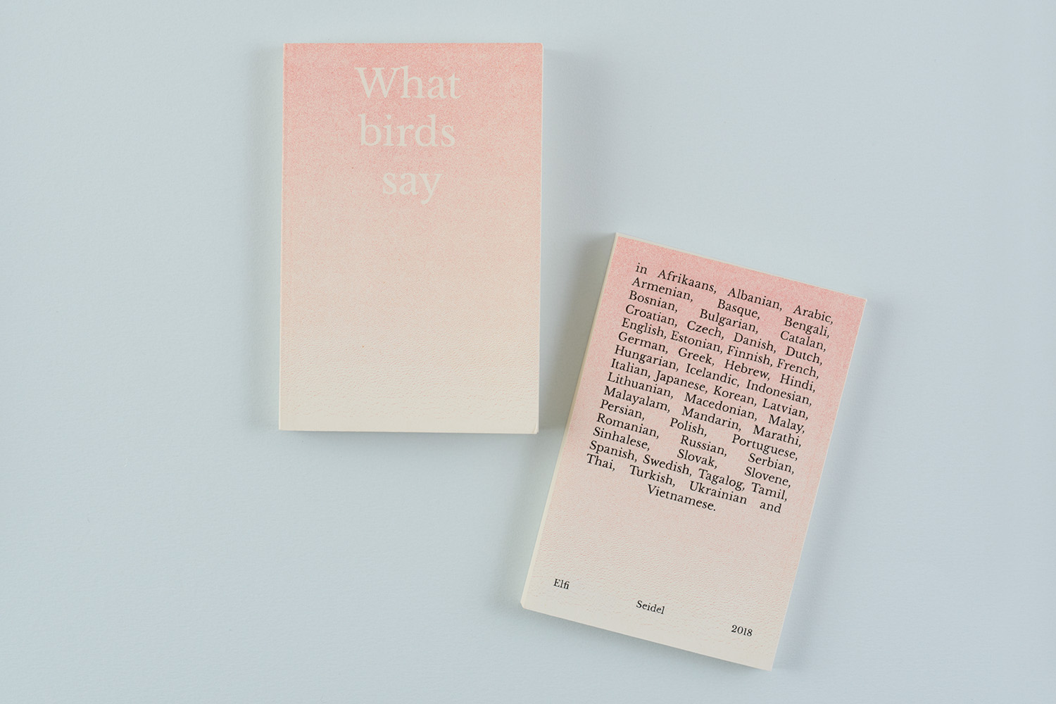 Elfi Seidel, What birds say, 2018